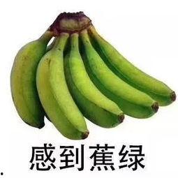 蕉绿吃瓜群众,揭秘网络热议背后的真相与趣味