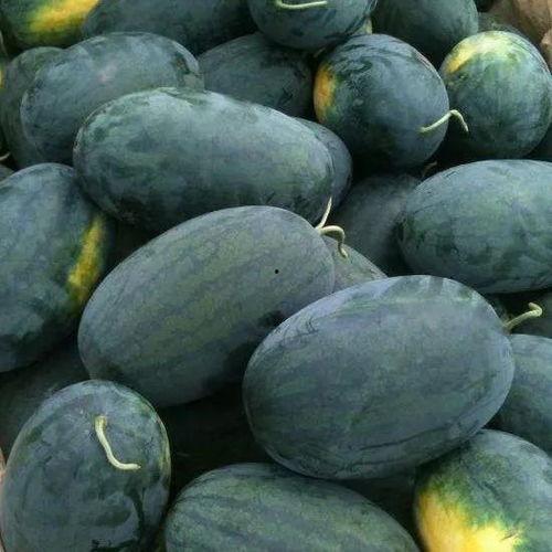 黑闺润吃瓜,揭秘娱乐圈背后的秘密与真相