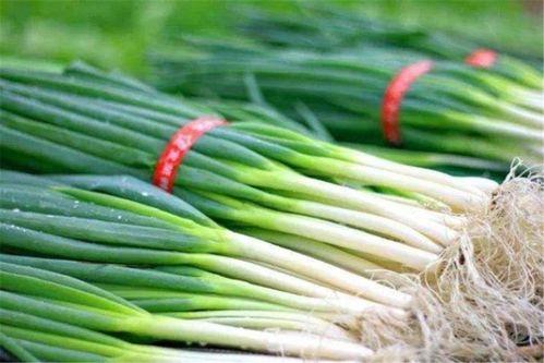 预言吃葱吃瓜什么意思,吃葱吃瓜背后的神秘寓意揭秘