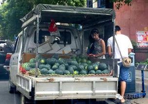 邵阳做菜吃的瓜,瓜果飘香，家常美味尽在其中