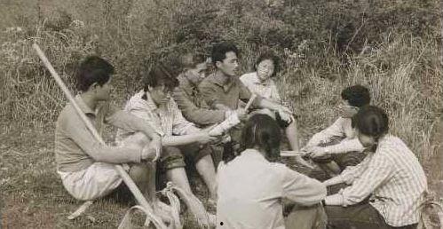 知青吃瓜年代文,知青岁月里的甜蜜回忆